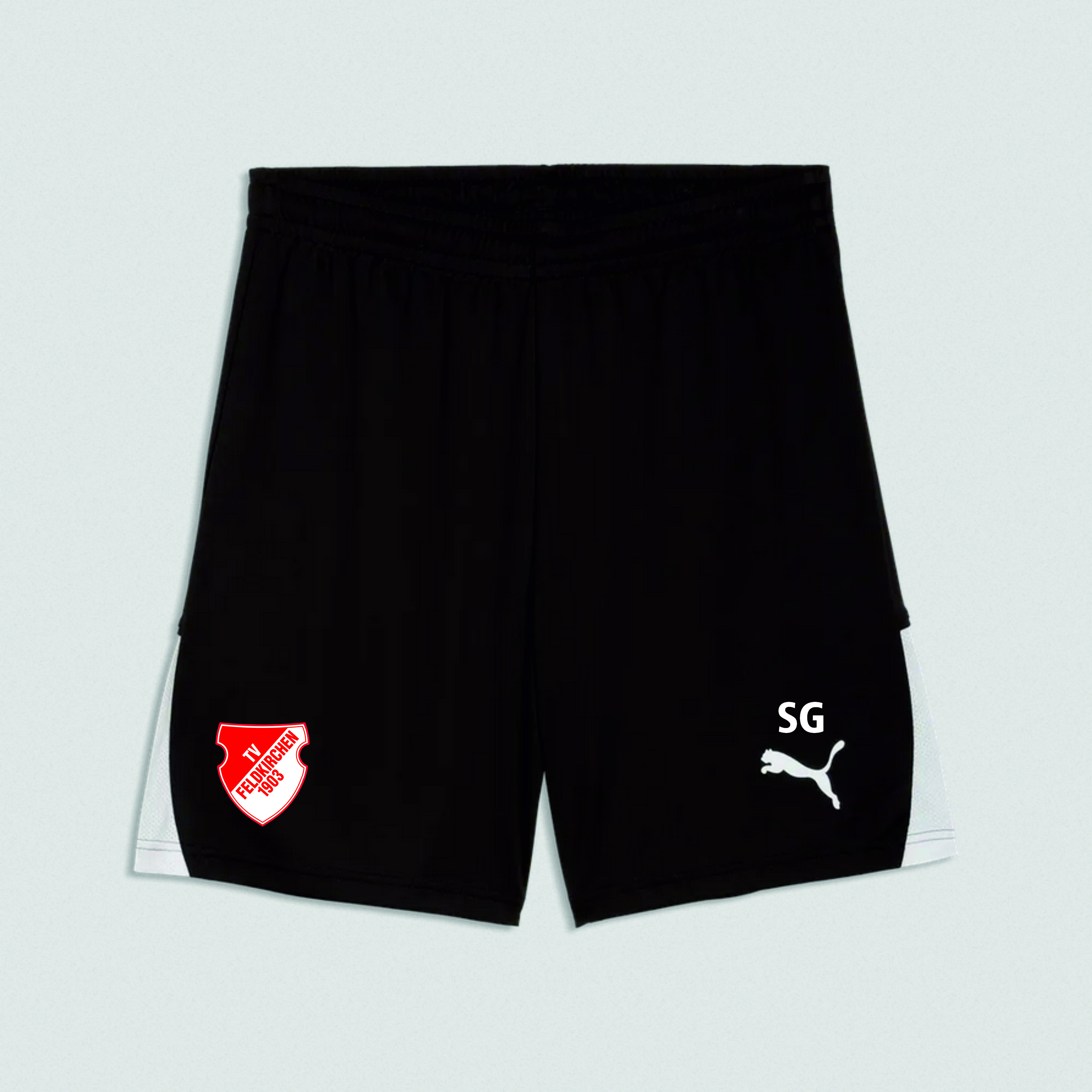 teamLIGA Shorts